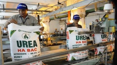 Công ty phân đạm và hóa chất Hà Bắc cần khắc phục triệt để việc gây ô nhiễm môi trường