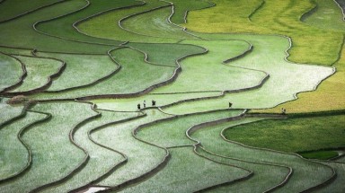  Tác phẩm "Ruộng bậc thang Tú Lệ" vào vòng chung kết ảnh đẹp của National Geographic