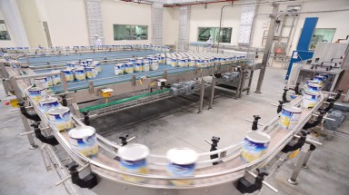  F&N bác bỏ thông tin chào mua cổ phiếu Vinamilk 4 tỷ USD 