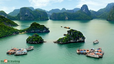  Hội thảo Công bố kế hoạch tăng trưởng xanh tại khu vực Vịnh Hạ Long