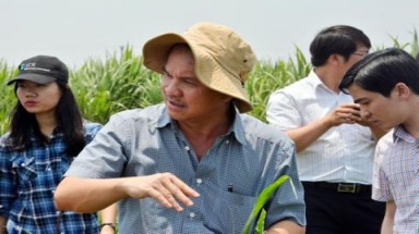 Công ty nông nghiệp của Bầu Đức tiếp tục báo lỗ 127 tỷ đồng