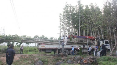   ​Điều tra bổ sung vụ cẩu cây dầu làm cúp điện toàn miền nam