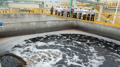   Vì sao kết quả thanh tra trước và sau sự cố Formosa khác biệt?