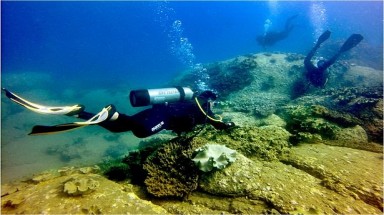  Đổ 1,5 triệu m3 chất thải xuống biển Bình Thuận: San hô, tôm cá khó sống?
