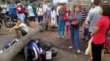  Tiền Giang:Cau bật gốc đổ ngang đường, đè bẹp xe máy