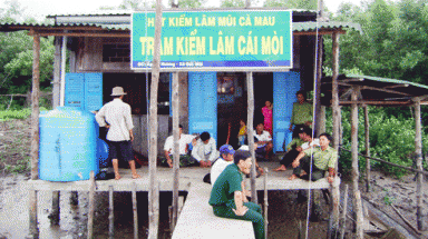 Cà Mau:Vườn quốc gia bị phá tan hoang, phó hạt trưởng được nhận bằng khen? 