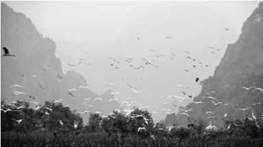  Khai mạc Triển lãm ảnh đen trắng “Đất lành” 