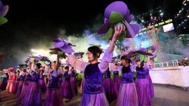 Rực rỡ đêm khai mạc Festival Hoa Đà Lạt 2013