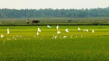  Hội nghị phổ biến về Luật Đất đai sửa đổi năm 2013