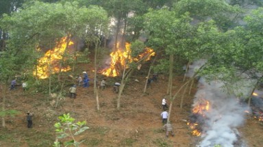  Đắk Lắk: Huyện Ea Súp chủ động các biện pháp phòng, chống cháy rừng trong mùa khô 