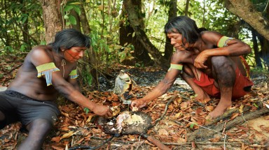  Cuộc sống của người Kayapo