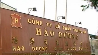  C49 kết luận nhiều vi phạm vụ Hào Dương