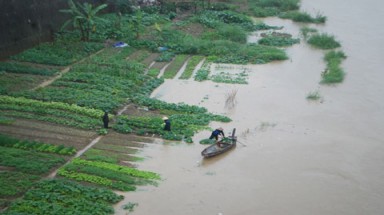  Sông Hồng xuất hiện lũ lớn lúc miền Bắc co ro rét