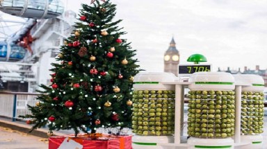  Năng lượng sinh học thắp sáng cây Noel