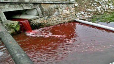  Nước sông biến thành máu sau một đêm