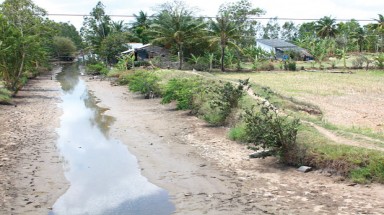  Tiền Giang ngăn mặn bảo vệ hơn 2.800 ha đất sản xuất trên cù lao ven biển