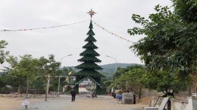  Cận cảnh cây thông Noel cao 30m
