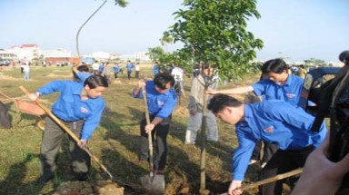 Tổ chức Tết trồng cây thiết thực, hiệu quả