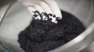  Đại gia chi 1 tỷ mở tiệc trứng cá xa xỉ cuối năm