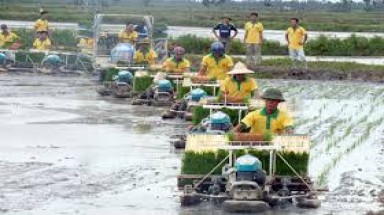  Hà Nam : Trăn trở tìm mô hình sản xuất hiệu quả cho nông dân 