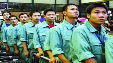  Phú Thọ kiên quyết ngăn chặn tình trạng lao động xuất cảnh trái phép