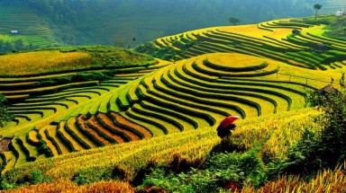  Thời tiết ngày 14/12: Bắc Bộ sáng sớm và đêm trời rét, trưa chiều hửng nắng