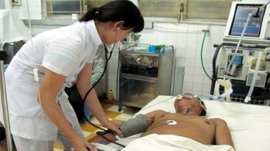  Hai người chết nghi do ngộ độc rượu ngâm rễ cây lá ngón