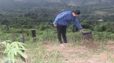  Đắk Nông: Điều tra trách nhiệm việc để mất hơn 3.500ha rừng tự nhiên