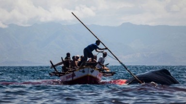 Indonesia: Săn cá voi để mưu sinh trên hòn đảo hẻo lánh 
