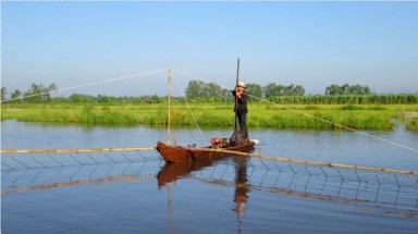   Đẩy côn, nghề kiếm nửa triệu đồng mỗi ngày ở miền Tây