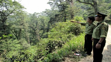  Quảng Nam: Tuần tra, kiểm soát việc khai thác và vận chuyển lâm sản, khoáng sản trái phép