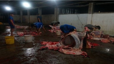 Đồng Nai: Bị thu hồi giấy phép, lò mổ gia súc vẫn ngang nhiên hoạt động
