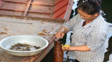   Bắt tôm bằng mồi... xi măng