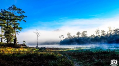  Hồ Tuyền Lâm đẹp mê hoặc sáng sớm mùa đông