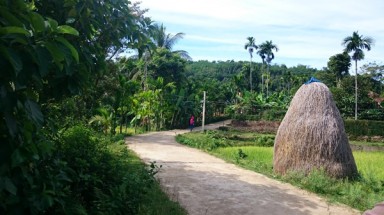  Làng cổ Lộc Yên - Ngôi làng trong cổ tích