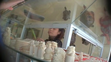  Đường dây buôn bán bất hợp pháp ngà voi qua biên giới Trung -Việt