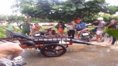 Câu được cá thu khổng lồ 175kg ở Côn Đảo