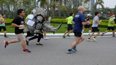  Giải chạy Sông Hồng 2015 – Chạy vì tê giác