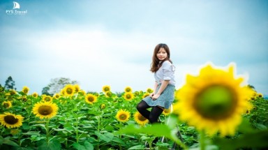  Thời tiết ngày 12 tháng 12: Bắc bộ ấm dần