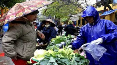  Không khí lạnh gây biển động mạnh, đất liền mưa rét