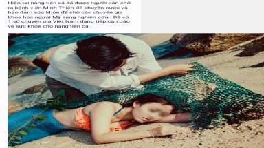  Quảng Nam: Truy tìm nguồn tin "nàng tiên cá bị đánh thuốc mê"