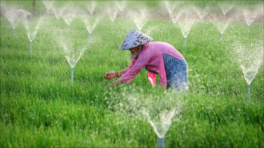  Những bức ảnh chủ đề nước sạch tuyệt đẹp 